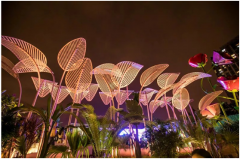 露天低氯游泳池，專屬于你的心靈棲息地！