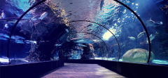 海洋館維生系統(tǒng)是什么？其作用是?