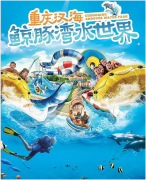 <b>【戴思樂浮潛案例賞析】讓國人在浮潛體驗館中暢享深海之旅！</b>