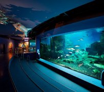 海洋館怎么設(shè)計(jì)？注意這幾個(gè)要點(diǎn)，打造高品質(zhì)海洋世界！