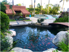 中水處理和污水處理有什么區(qū)別？