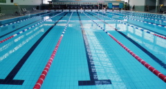 <b>游泳池為什么要做水處理？</b>