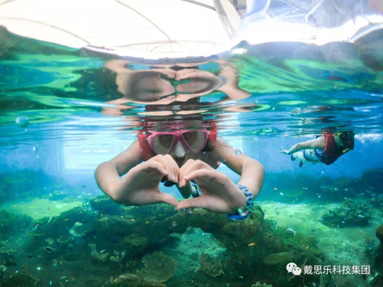 海洋浮潛館，海洋館設(shè)備