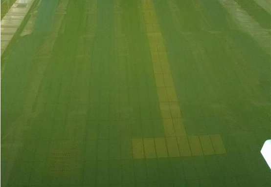 游泳池水質發(fā)綠