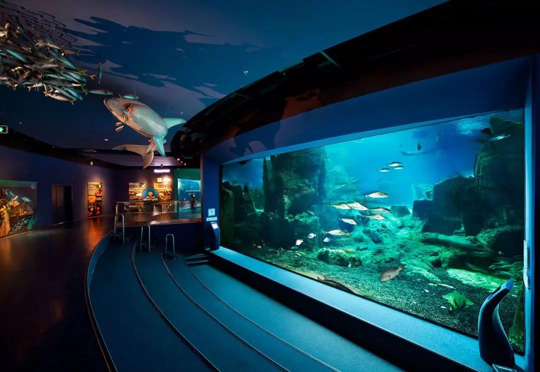 海洋館的空氣質量如何提升？