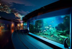 水族館的建設過程中需要考慮哪些因素？需要哪些設備呢？