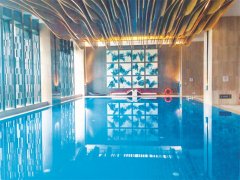 戴思樂(lè)游泳池不銹鋼過(guò)濾器，游泳池水質(zhì)的守護(hù)者，耐用與效率并存！