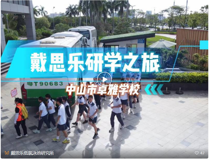 戴思樂(lè)集團(tuán),戴思樂(lè)