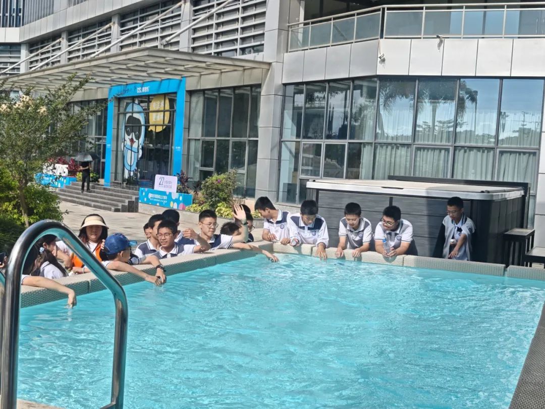 戴思樂(lè)集團(tuán),戴思樂(lè)