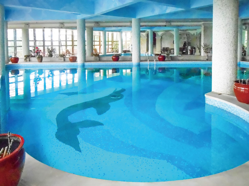 游泳池水變綠又渾濁是什么原因？一文看懂解決思路