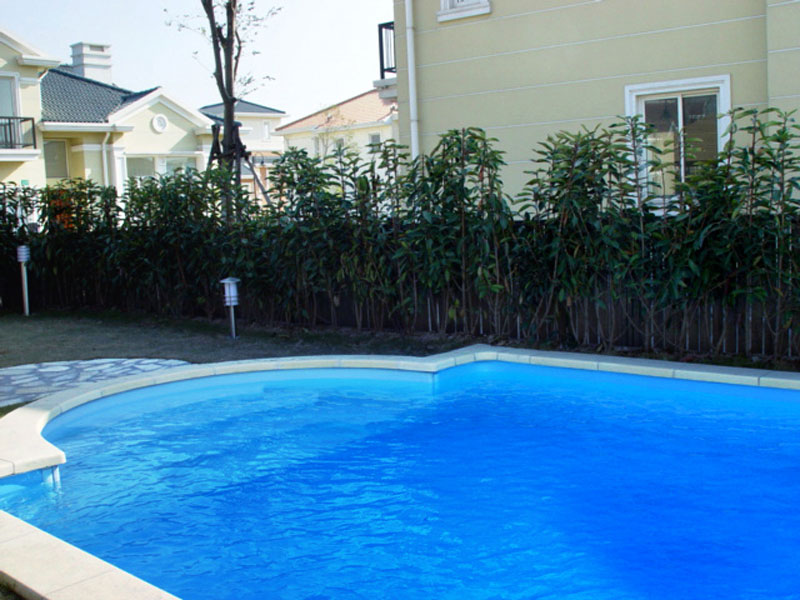 <b>游泳池水質(zhì)處理關(guān)鍵技巧，快速解決水質(zhì)不達(dá)標(biāo)、藻類滋生難題！</b>