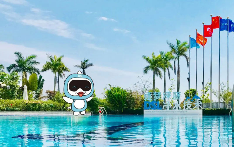 <b>別墅游泳池設(shè)備廠家哪家好？怎么選？</b>